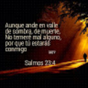 Meet your Posher, Roberto